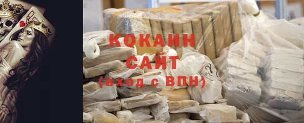 стаф Дмитров