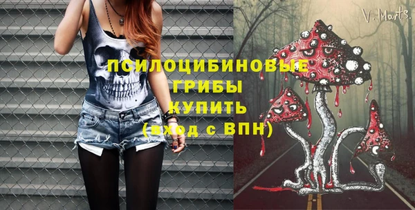 экстази Бикин
