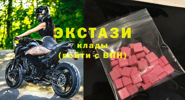 стаф Дмитров