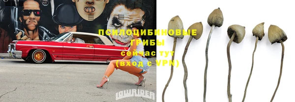а пвп мука Дмитриев