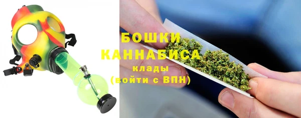 стаф Дмитров