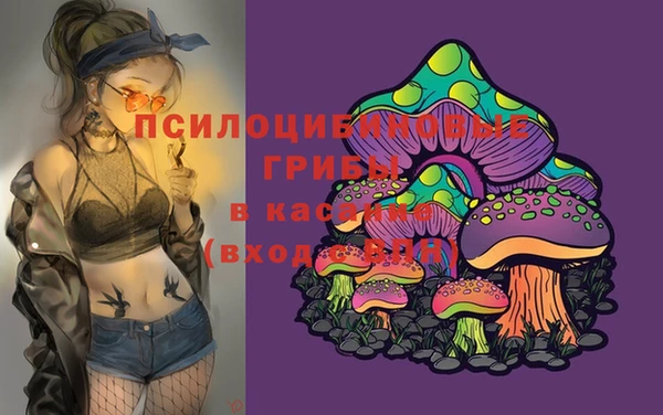 а пвп мука Дмитриев