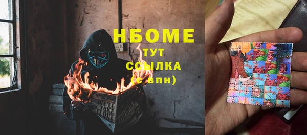 стаф Дмитров