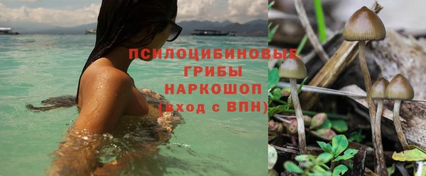 ECSTASY Ельня