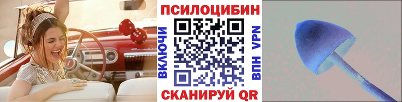 mega   продажа наркотиков  сайты даркнета клад  Галлюциногенные грибы Cubensis  Игарка 